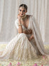 Gulmohar Lehenga